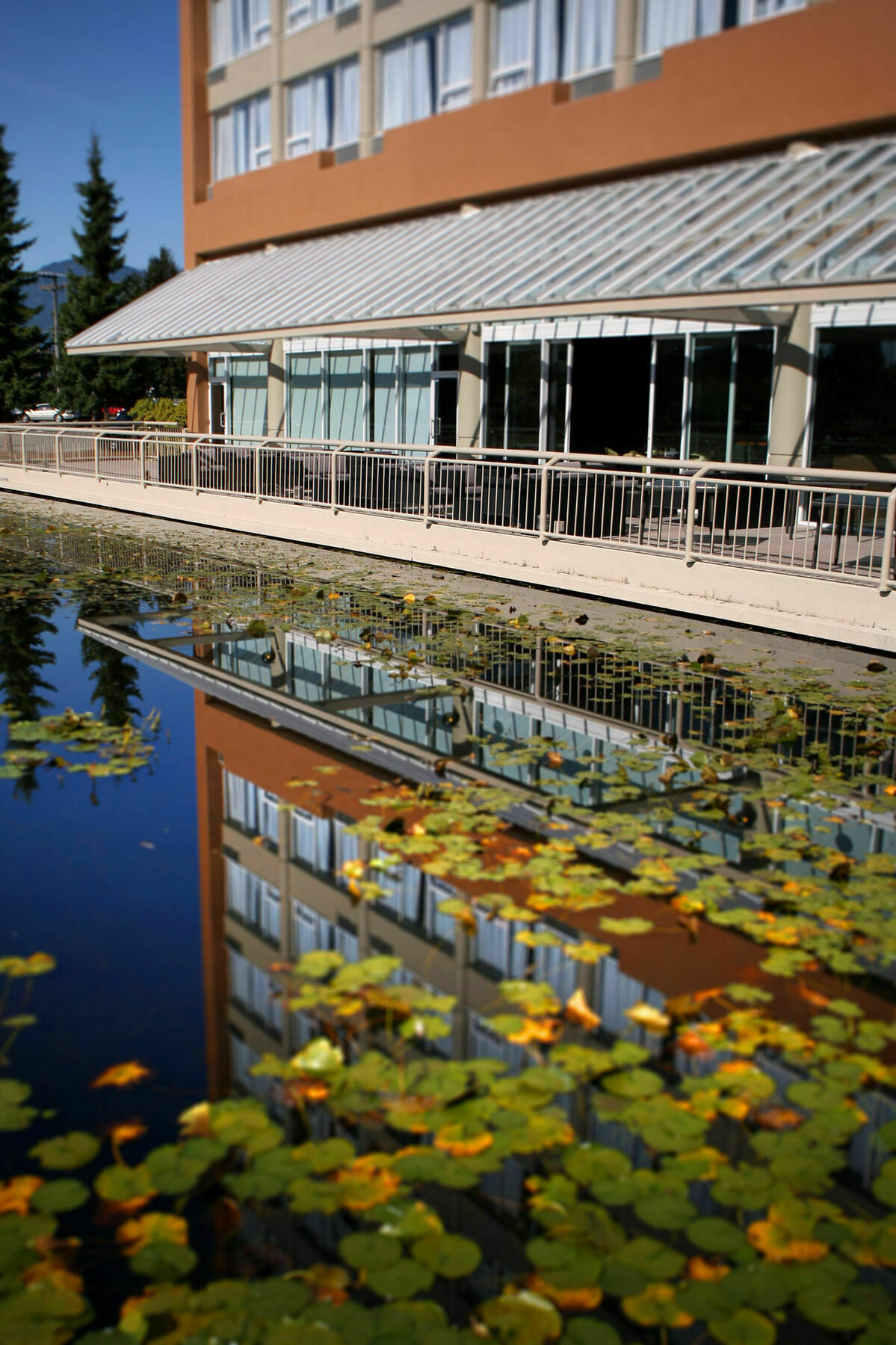 Coast Chilliwack Hotel By Apa Exterior foto